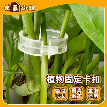 藤蔓固定器 枝條固定 藤蔓夾 植物固定環 固定夾 藤蔓固定夾 瓜果固定夾 蔓夾 園藝夾 枝條夾 綁枝夾 綠植捆綁紮帶