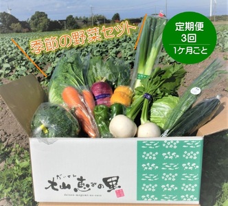 TD01：季節の野菜セット（3回お届け）