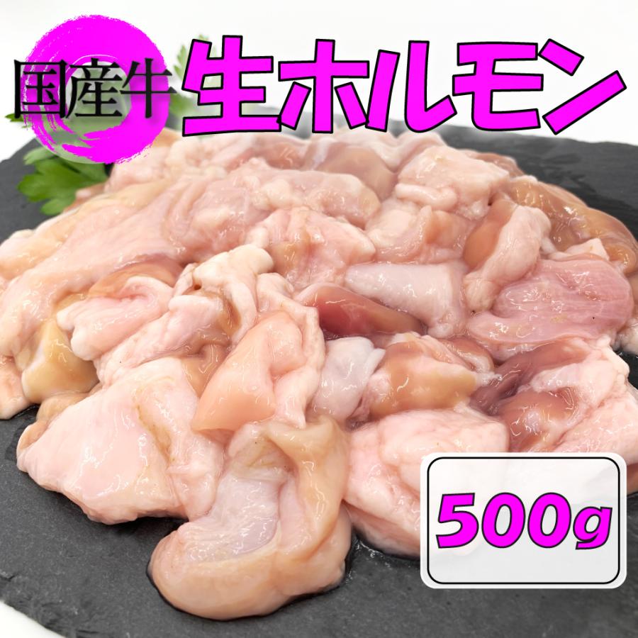 国産ホルモン 国産牛 生ホルモン 500ｇ 牛ホルモン 焼肉 モツ鍋 もつ鍋 牛モツ 白モツ ミックスホルモン 冷凍 送料無料 国産牛ミックスホルモン500ｇ