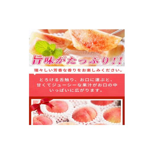 ふるさと納税 和歌山県 北山村 紀州和歌山産の桃　１５玉　化粧箱入 ※2024年6月中旬頃〜8月中旬頃順次発送（お届け日指定不可）