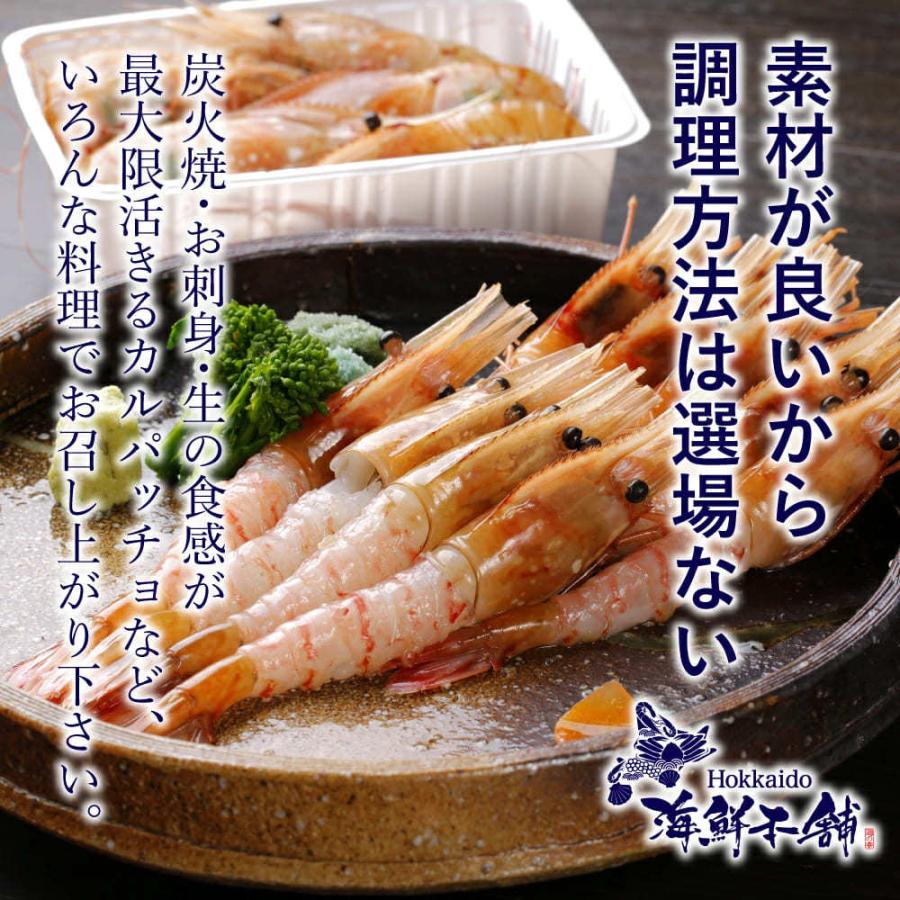 ボタンエビ 500g 特大2Lサイズ 刺身できます ロシア産 9〜10尾