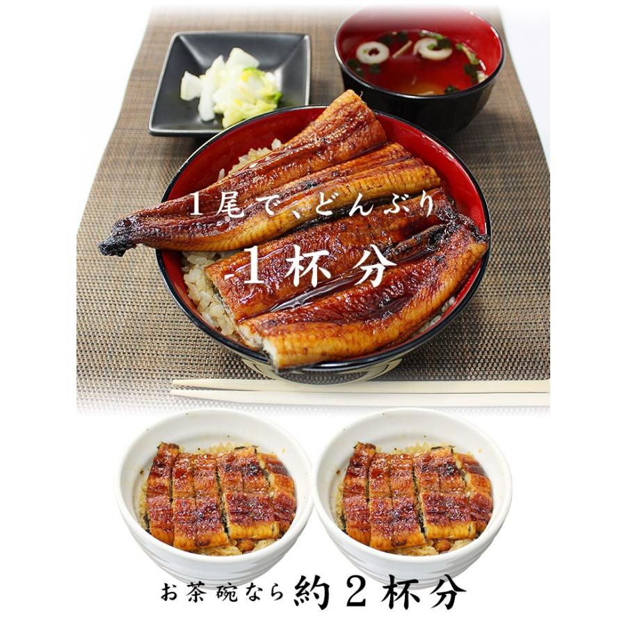 うなぎ ウナギ 国産 長蒲焼き160g〜170g×4尾 送料無料 訳あり セット《eel-ue1》〈ue1〉yd9[[ウナギ長蒲焼き-4p]