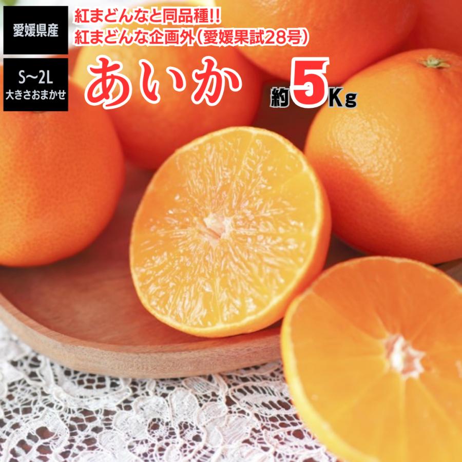 あいか 紅まどんな 同品種 約５ｋｇ 愛媛県産