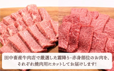 佐賀牛 焼肉セット 1.0kg（霜降り・赤身 各500g）黒毛和牛 焼肉 バーベキュー BBQ[HBH122]