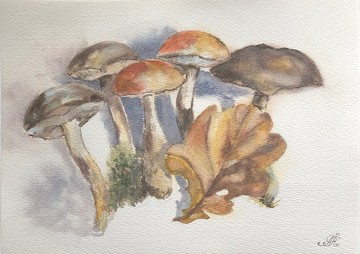 蘑菇原創水彩畫牆藝術