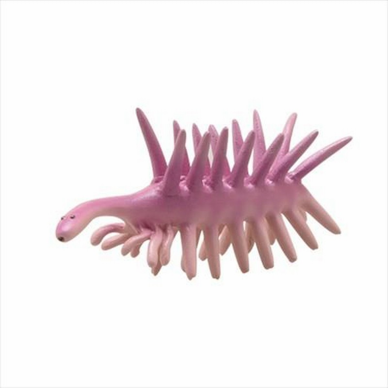 恐竜 カンブリアモンスター フィギア ミニモデル ソフビ