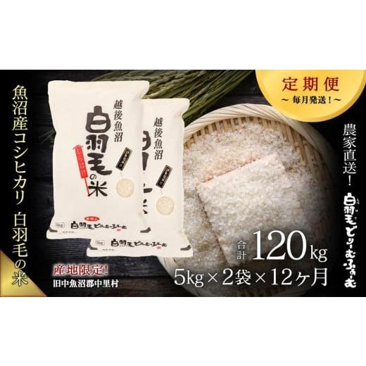 ふるさと納税 新潟県 十日町市 ≪令和5年産≫農家直送！魚沼産コシヒカリ「白羽毛の米」精米(5kg×2袋)×12回 120kg