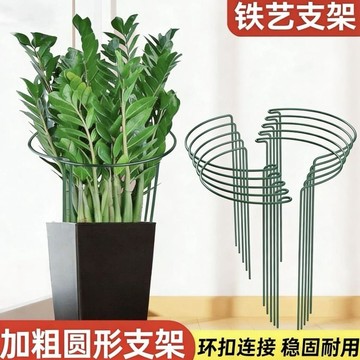 🎉🎉防伏倒神器支撐杆現代簡約綠植支撐架加粗矯正花架