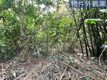 ~專任~新埔國中便宜方正雙面臨路美農地｜新竹縣新埔鎮泰陽段