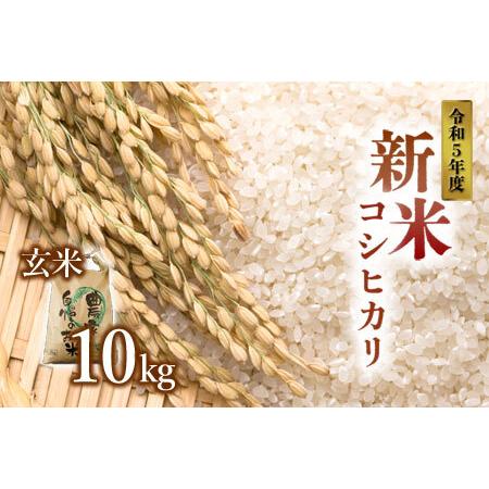 ふるさと納税 令和5年産 阿蘇のお米 コシヒカリ10kg 1袋 玄米 熊本県阿蘇市