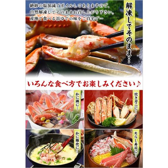 かに カニ 蟹 ズワイガニ 超特大 ボイルずわいがに 足 5kg 4L-5Lサイズ 約14肩入 送料無料 業務用 産地箱 FF