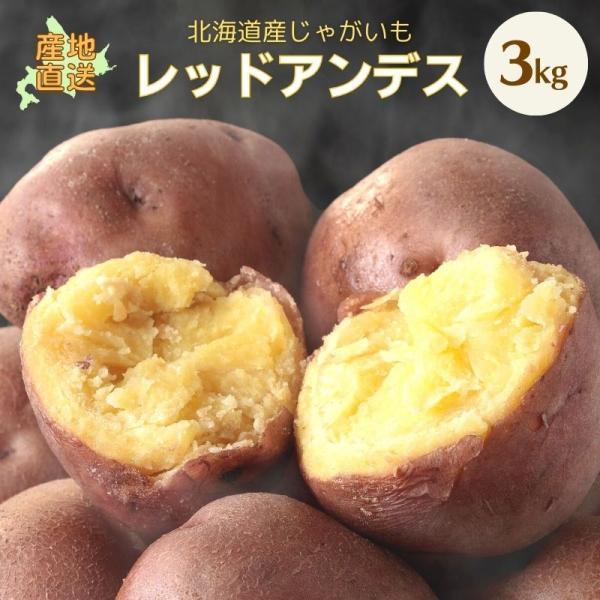 じゃがいも ジャガイモ レッドアンデス 3kg 正品・LM L 2L混 （新じゃがいも） 野菜 北海道産 お礼 御祝 産直 内祝 ジャガイモ