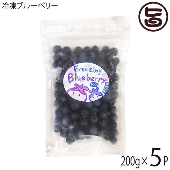 冷凍ブルーベリー200g×5P 堀うち農園 無農薬栽培 安心 安全