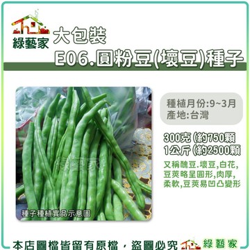【綠藝家】大包裝E06.圓粉豆(壞豆)種子300克、1公斤裝 醜豆.壞豆,白花,豆莢略呈圓形,肉厚,柔軟,豆莢易凹凸變形