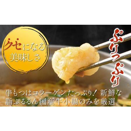 ふるさと納税 キャンプ飯 ぷるるんもつ鍋セット 中華麺付き！（約2〜3人前）みそ味 越前のホルモン屋 国産牛   味噌 モツ鍋 小腸 ホルモン 鍋 .. 福井県あわら市