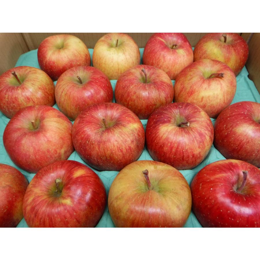 ☆りんご☆葉取らずサンふじ☆糖度15度☆10kg☆訳あり☆農家直送☆除草剤不使用☆青森県産☆ LINEショッピング