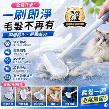 ⭐台灣現貨⭐免運⭐粘毛器 寵物清理神器 貓毛清理器 寵物毛刷 多功能貓毛刷 貓咪除毛刷 刮毛器 家用除毛器 多功能除毛刷