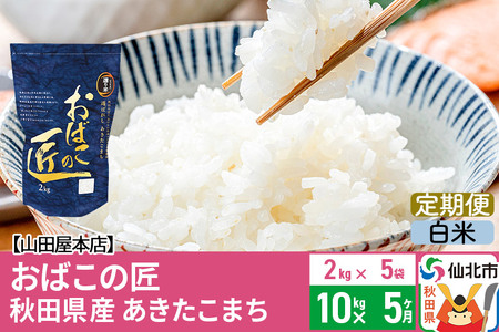 《定期便5ヶ月》令和5年産 仙北市産 おばこの匠 10kg×5回 計50kg 5か月 5ヵ月 5カ月 5ケ月 秋田こまち お米 秋田県産あきたこまち