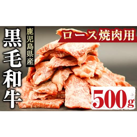 ふるさと納税 鹿児島県 曽於市 鹿児島県産黒毛和牛ロース500g(焼肉用カット) 国産 鹿児島県産 黒毛和牛A-288