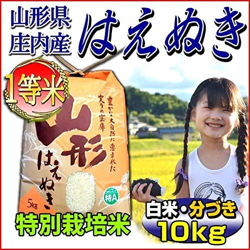  令和3年 山形県 庄内産 はえぬき 一等米 3分づき お米 10kg （5kg×2袋） 特別栽培米