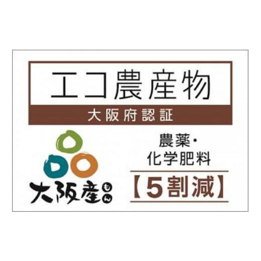 ふるさと納税 大阪府 貝塚市 特選シャインマスカット 700g以上　2024年8月より発送