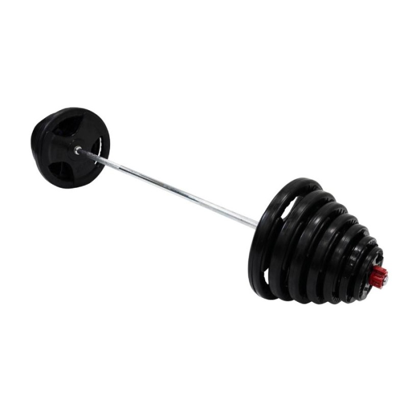 ラバー付バーベルプレート 10kg × 2枚 ファイティングロード ダンベル