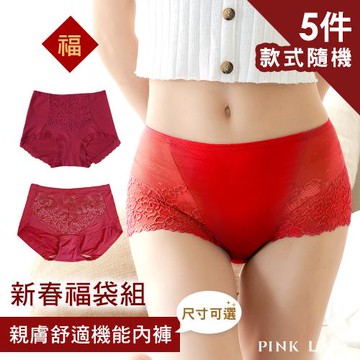 【PINK LADY】獨家超值福袋 舒適簡約蕾絲中高腰機能內褲 5件組(輕薄/女內褲/棉質/親膚/抗菌/蠶絲/膠原蛋白)