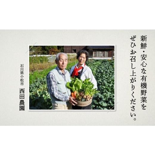 ふるさと納税 石川県 小松市 西田農園　季節の野菜詰合せ　Ｂセット