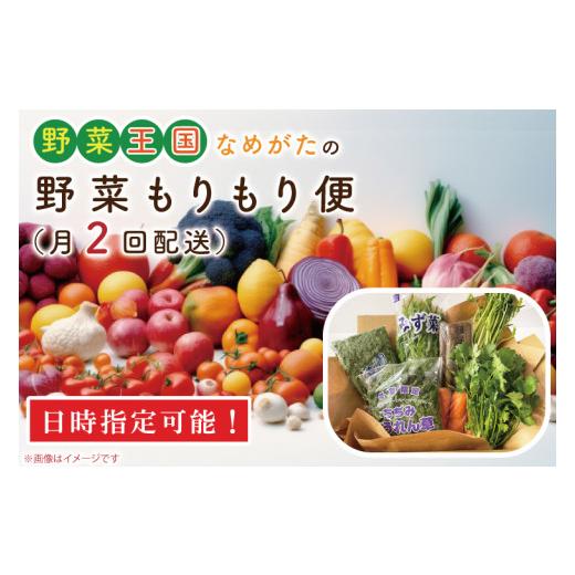 ふるさと納税 茨城県 行方市 CU-139　野菜王国なめがたの野菜もりもり便（月２回発送）