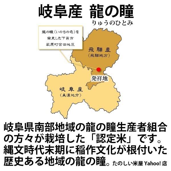 新米 龍の瞳 30kg （5kg×6袋） お得セット 岐阜県産 令和5年産米 白米 ご注文後に精米・発送 送料無料（一部地域除く）