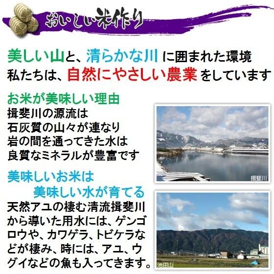 令和５年産岐阜県産 ミルキークイーン 玄米20Kg（10kg×2）精米サービス