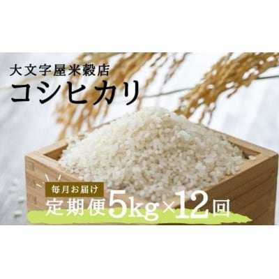 コシヒカリ 5kg 精米(毎月お届け)No.2498