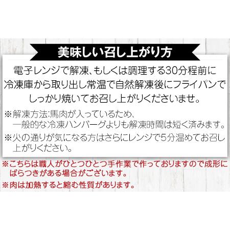 ふるさと納税 手作りハン馬ーグ 100g×10個 馬肉100%配合！ハンバーグ たっぷり 冷凍 お中元 肉 お手軽 お取り寄せ《30日以内に.. 熊本県長洲町