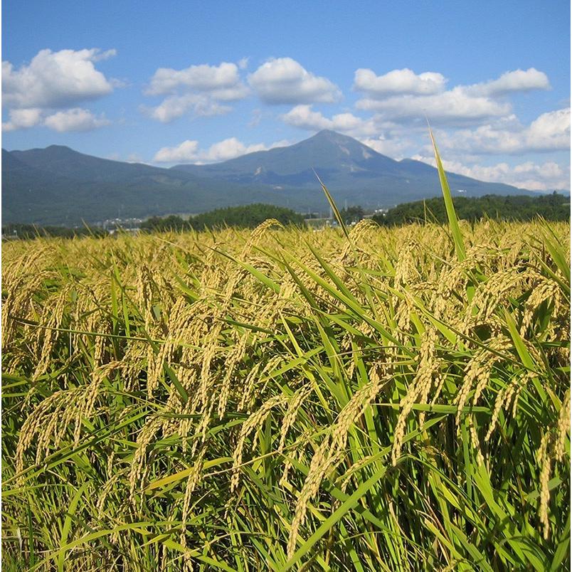 令和４年産 本田屋継承米 玄米 2kg C