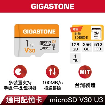 【GIGASTONE】通用記憶卡1T/512G/256G V30 U3｜台灣製造microSD/C10 U1/監視器