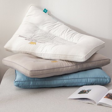 全棉決明子大豆枕頭護頸椎助睡眠雙人一對成人高中低枕芯家用枕芯