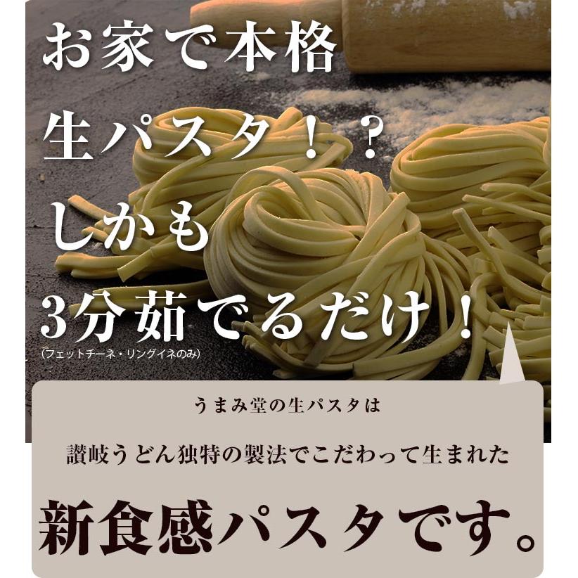 麺が選べる 生パスタ 6食 (麺200g×3袋) 生麺 パスタソースなし パスタ 讃岐  讃岐パスタ 送料無料 お土産 お取り寄せ 常温保存OK ギフト [産直]