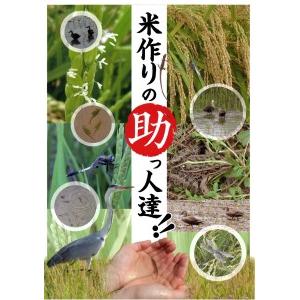 ふるさと納税 a63-002　 令和5年産新米 30年間無農薬・無肥料のお米 玄米 コシヒカリ 1回5kg 合計15kg 静岡県焼津市