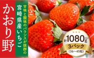 宮崎県産イチゴ「かおり野」3パック（1080g以上：36粒～45粒）_M260-014