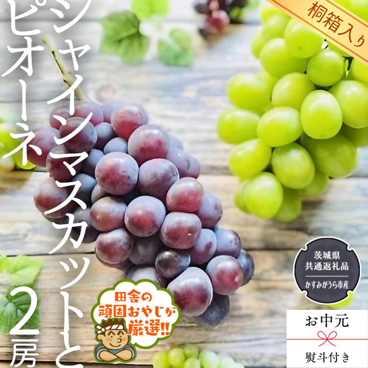  シャインマスカットとピオーネ （各種1房ずつ）（県内共通返礼品：かすみがうら市産） シャインマスカット ピオーネ ぶどう 果物 フル