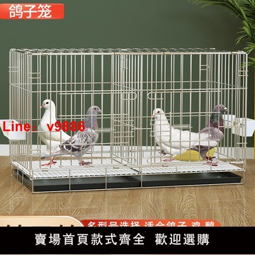 【台灣公司 可開發票】鴿籠家用養殖繁殖鴿子籠配對籠帶隔斷大號白羽賽鴿籠肉鴿信鴿雞籠