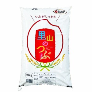 新米 米 10kg 里山のつぶ お米 白米 10kg×1袋 令和5年産 福島県産 送料無料 1週間以内精米分発送 米 10キロ