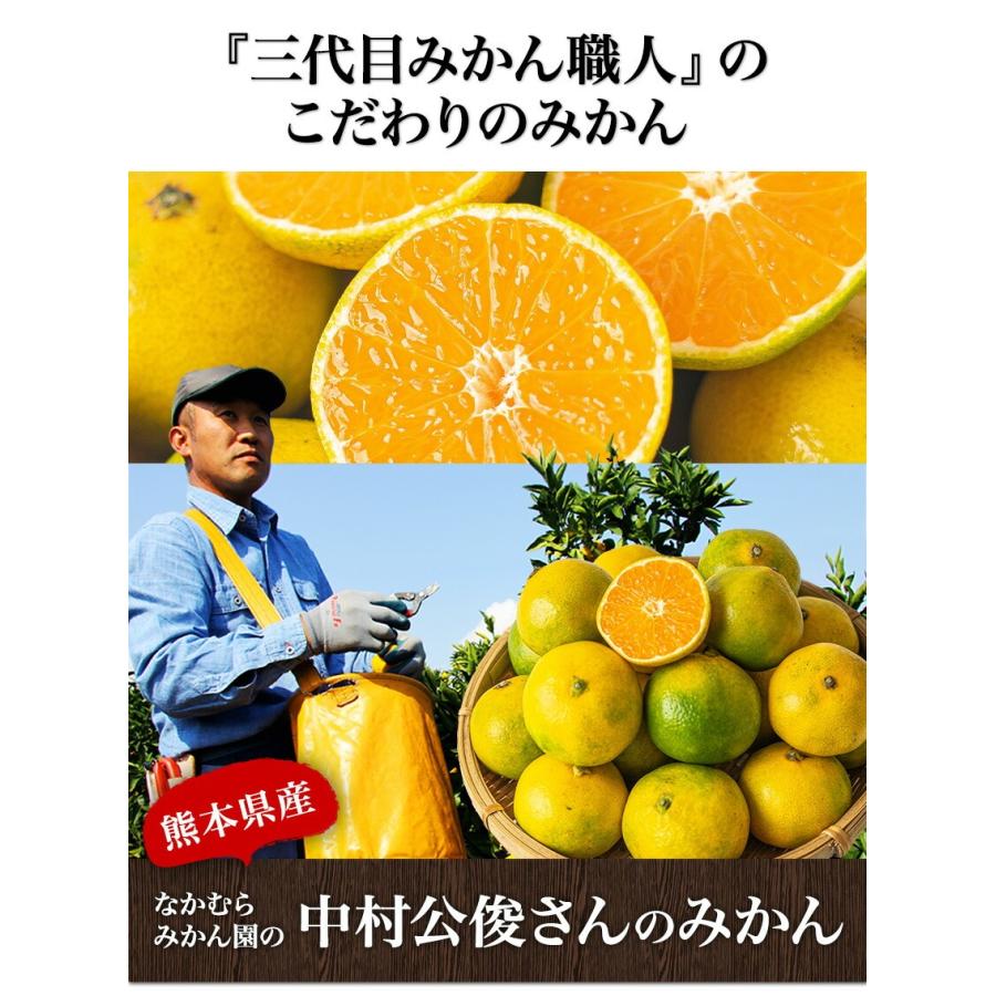 みかん 3代目みかん職人 中村公俊さんのみかん 5kg 熊本県産 S-Lサイズ混合 ミカン 果物 柑橘 フルーツ 7-14営業以内発送予定(土日祝除く)