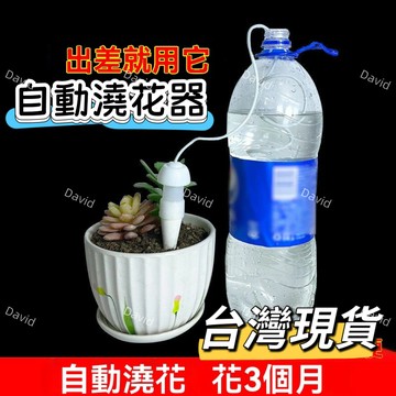✨在台出貨✨懶人澆花水壺 自動滴水器 花盆自動澆水器 浇花器 滲水器 滴灌器 澆水器 盆栽澆水