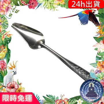 【寵物覺醒24h出貨】不鏽鋼白鐵幼鳥泡奶餵食湯匙鳥喙雛鳥成鳥補奶勺中小型鸚鵡玄鳳和尚虎皮折衷金輪凱克橫斑牡丹折衷草科秋草
