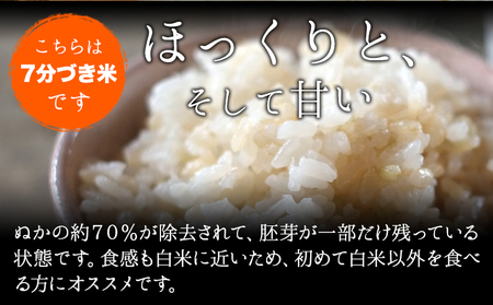 令和5年産 小さな竹美人 7分づき 米 4kg(2kg×2袋) 株式会社コモリファーム《お申込み月の翌月から出荷開始》