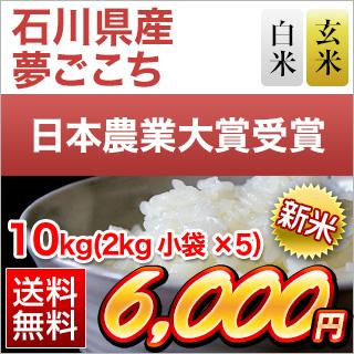 新米 令和5年(2023年)産 石川県産 夢ごこち 10kg(2kg×5袋) (白米・玄米) 