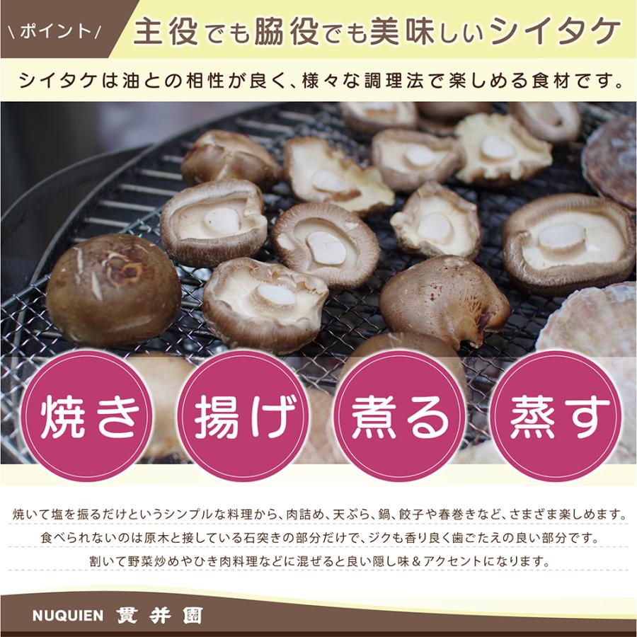 生産者直送！ 原木生しいたけ サイズおまかせ　1Kg　　お買得　貫井園 の 原木椎茸　原木しいたけ　原木シイタケ