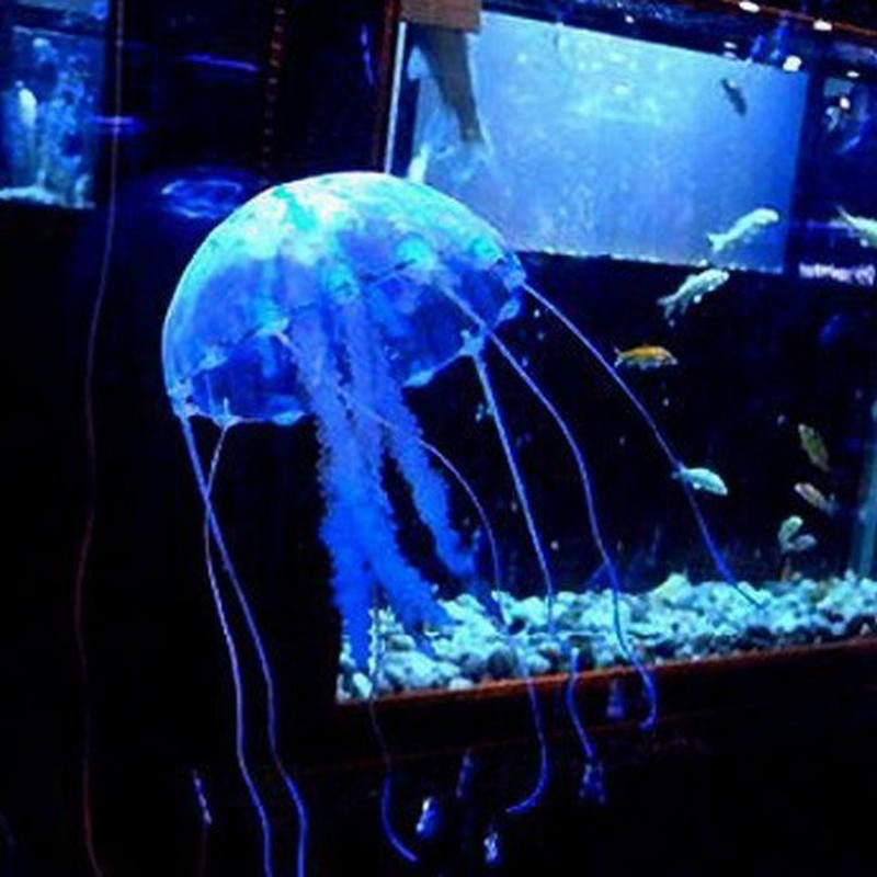 Ecooclgaghcrm