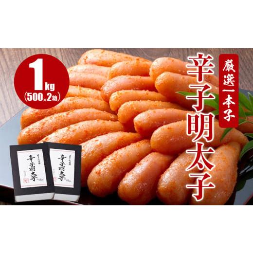 ふるさと納税 福岡県 田川市 厳選1本子辛子明太子 1kg（500g×2箱）